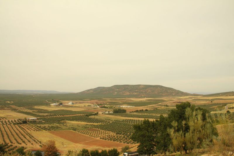 Complejo Rural Mirador del condado Viviendas con fines turisticos en Castellar  