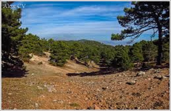 casas rurales en Hornos de Segura 