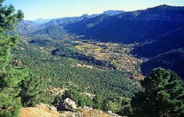  Casa rural El Nacimiento - Santa Elena  