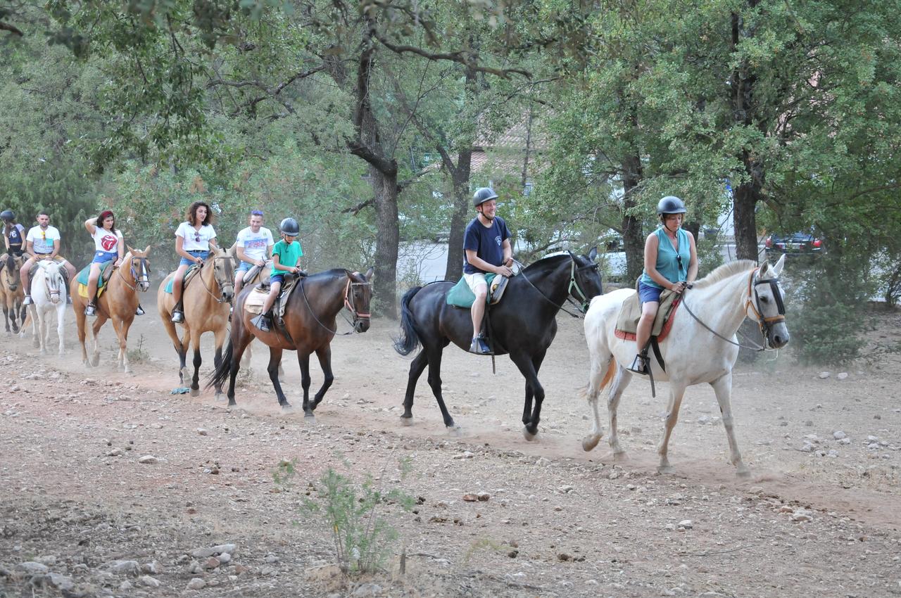 Ariosa V.T.A.R. - integro en La Iruela Arroyo frio 