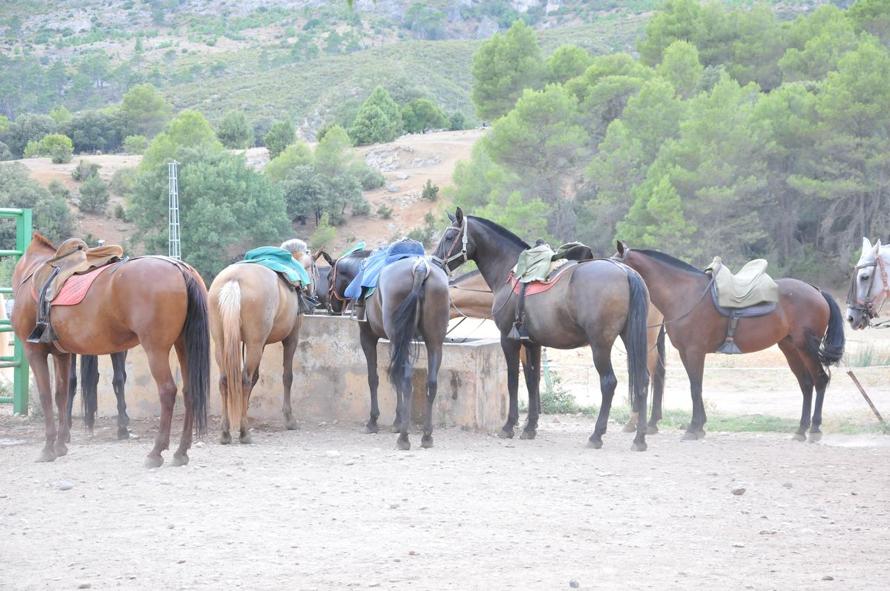 Ariosa V.T.A.R. - integro en La Iruela Arroyo frio 