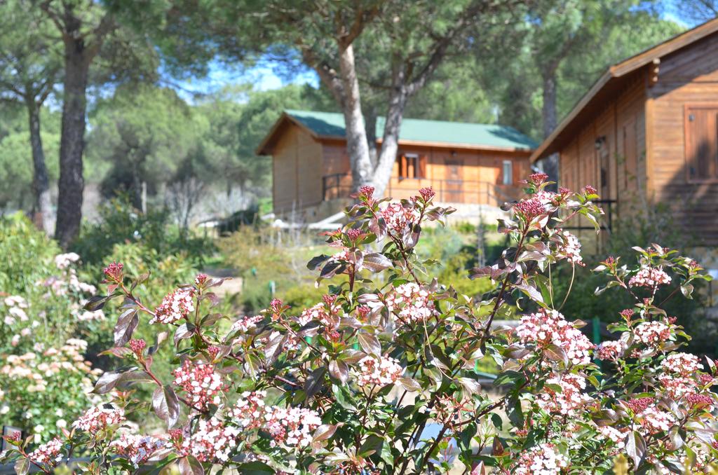 Apartamentos Paraje San Gines Casa de madera en Andujar  