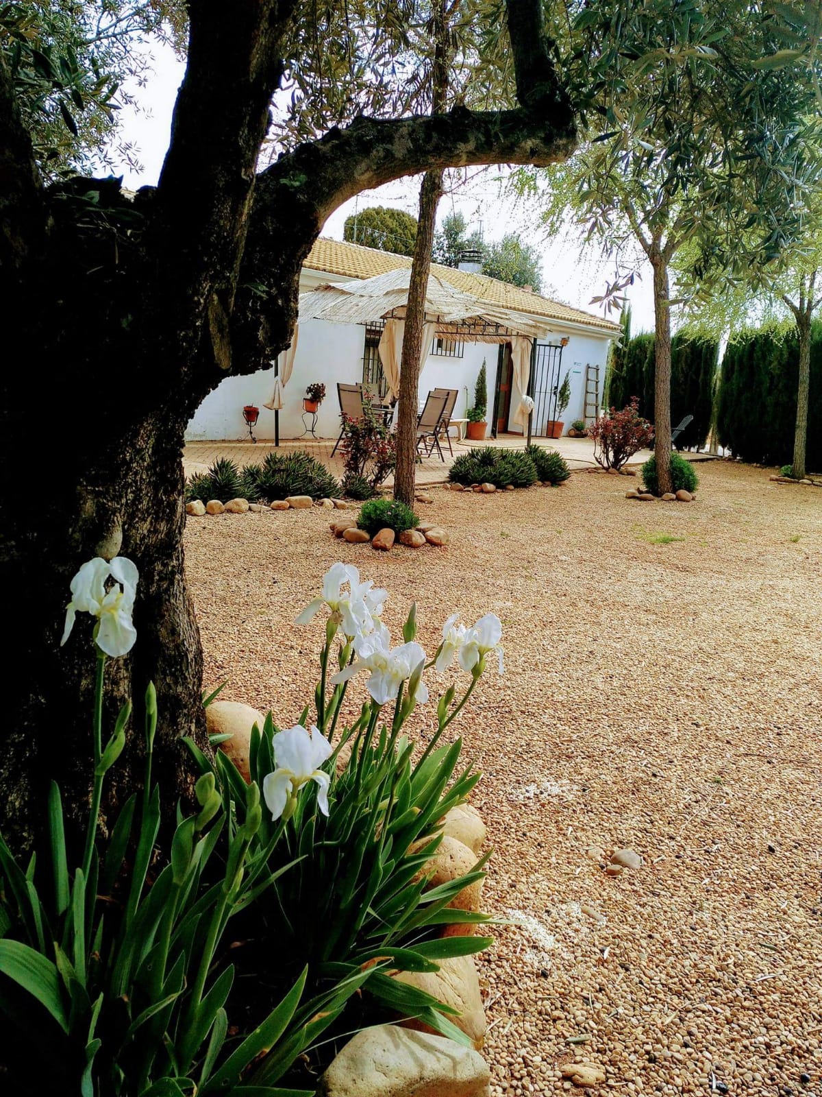 Casa del abuelo Jose V.T.A.R. - integro en Marmolejo  