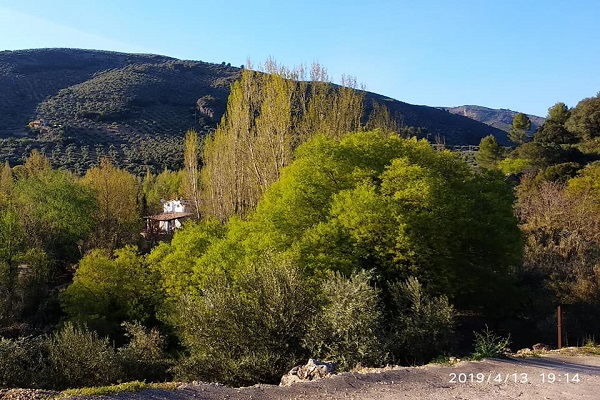 casas rurales en Villanueva del Arzobispo 