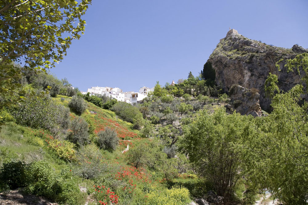 Cueva de la Tia Flor Casa cueva en Castril  