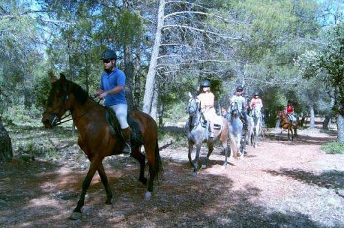 Aurelia V.T.A.R. - integro en Pozo Alcon  